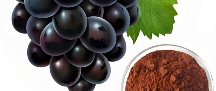 新宝GG—创立事业平台在线登录