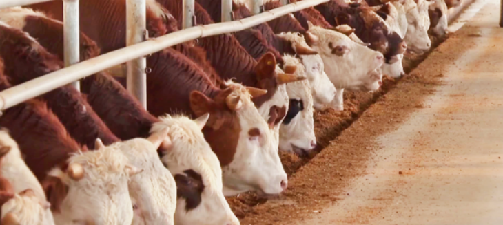 新宝GG—创立事业平台在线登录