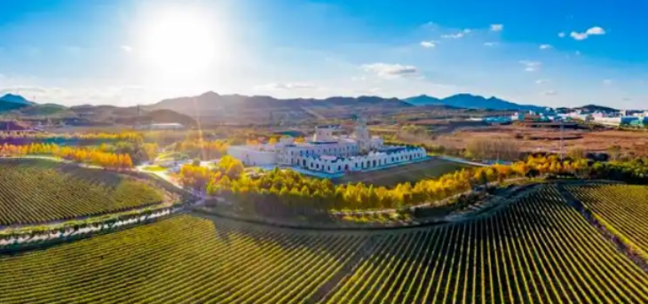 新宝GG—创立事业平台在线登录