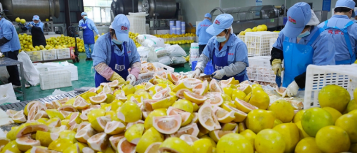 新宝GG—创立事业平台在线登录