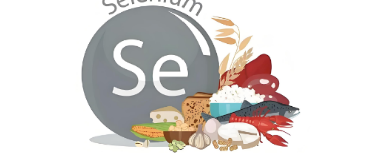 新宝GG—创立事业平台在线登录