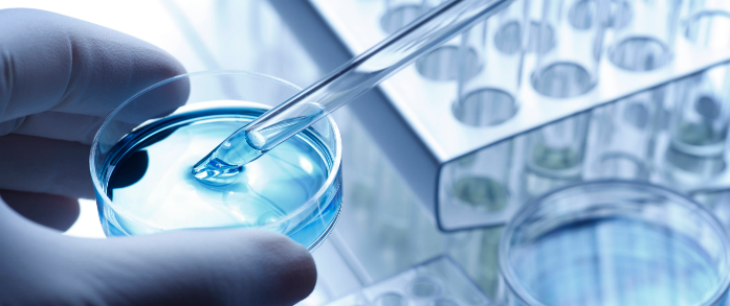 新宝GG—创立事业平台在线登录