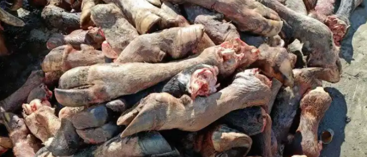 新宝GG—创立事业平台在线登录