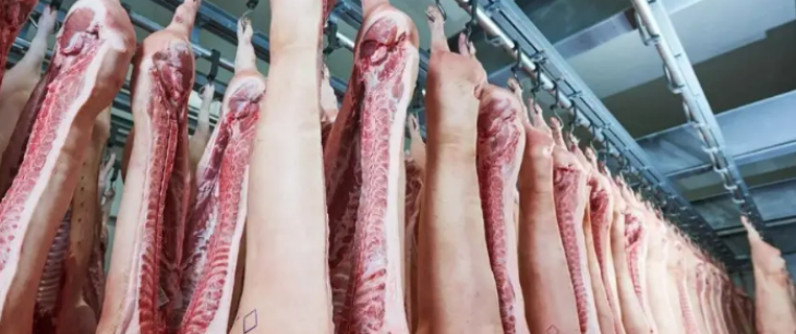 新宝GG—创立事业平台在线登录