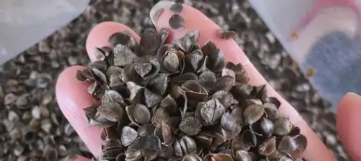 新宝GG—创立事业平台在线登录