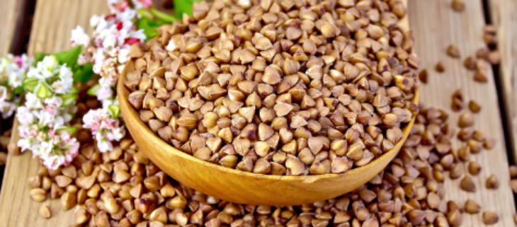 新宝GG—创立事业平台在线登录