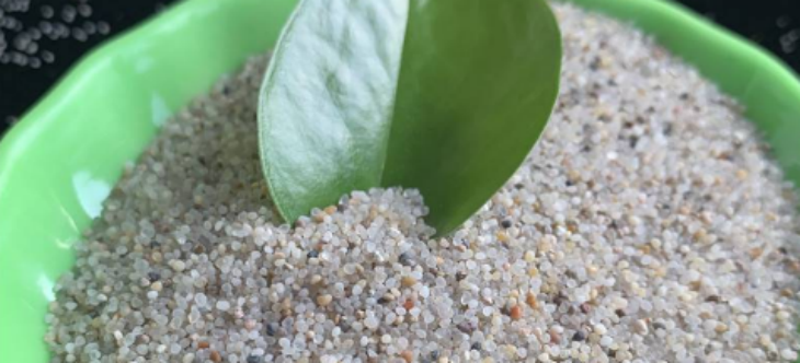 新宝GG—创立事业平台在线登录