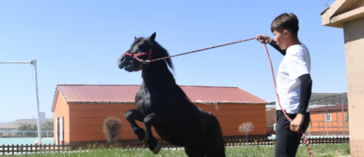 新宝GG—创立事业平台在线登录