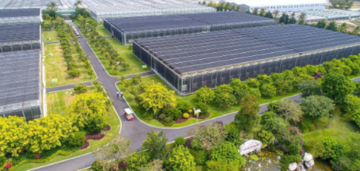 新宝GG—创立事业平台在线登录