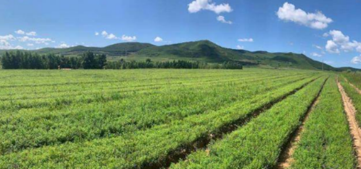 新宝GG—创立事业平台在线登录