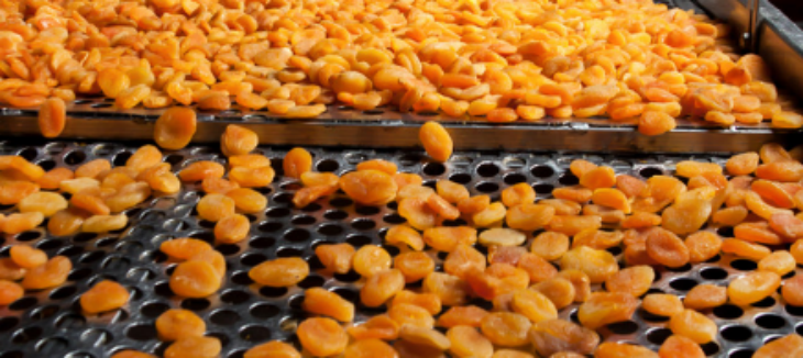 新宝GG—创立事业平台在线登录