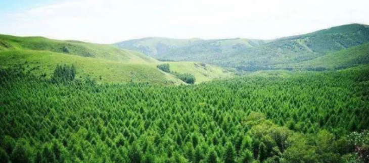 新宝GG—创立事业平台在线登录