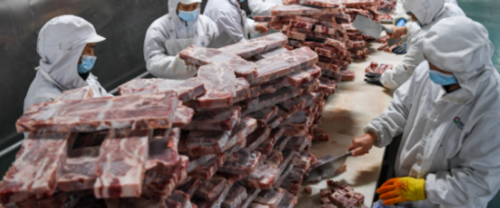 新宝GG—创立事业平台在线登录