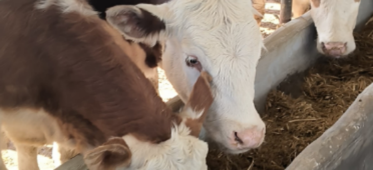 新宝GG—创立事业平台在线登录