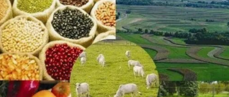 新宝GG—创立事业平台在线登录