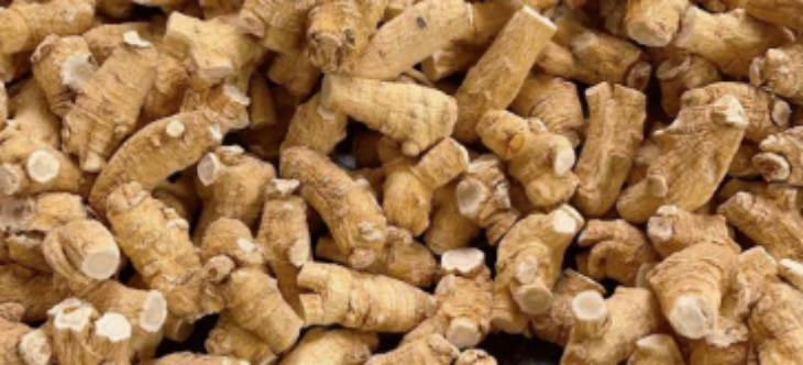 新宝GG—创立事业平台在线登录