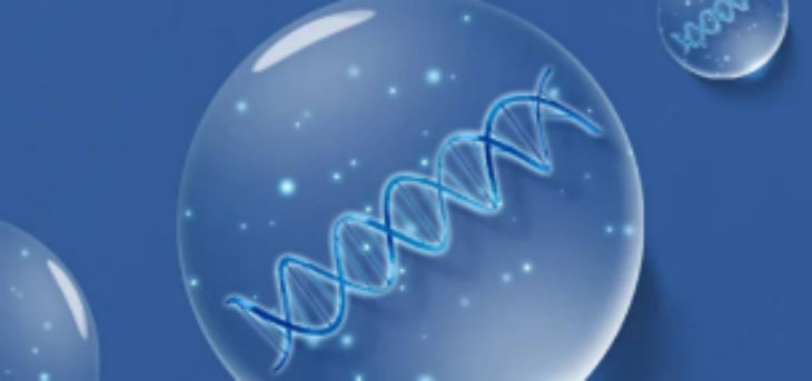 新宝GG—创立事业平台在线登录