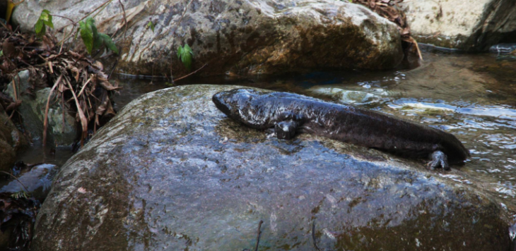 新宝GG—创立事业平台在线登录