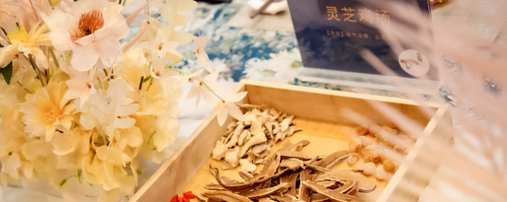 新宝GG—创立事业平台在线登录